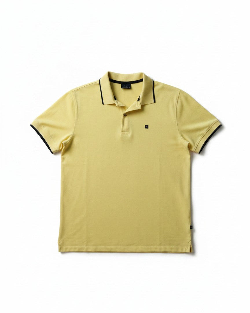 Polo Niccolò