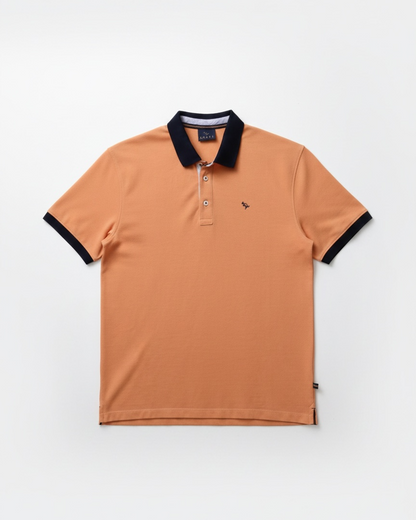 Polo Alessandro